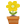 植物